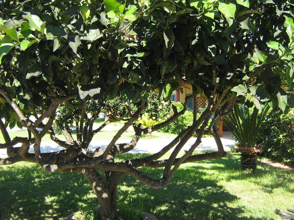 Tenuta Paifer Otranto Zewnętrze zdjęcie