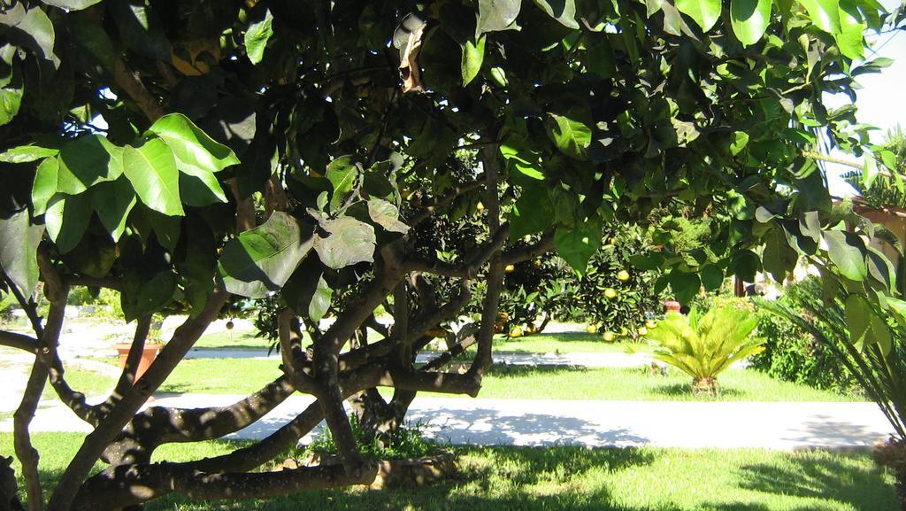 Tenuta Paifer Otranto Zewnętrze zdjęcie